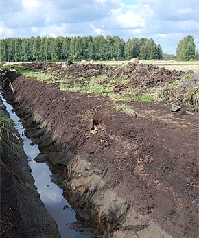 acid-sulphate-soils-2