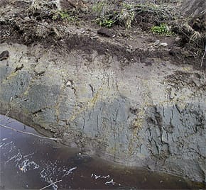 acid-sulphate-soils