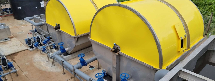 SaiBai Plant Torres Strait